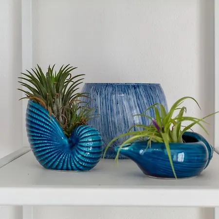 بيت ضيافة Delphis