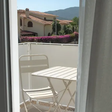 Delphis 4* Pula